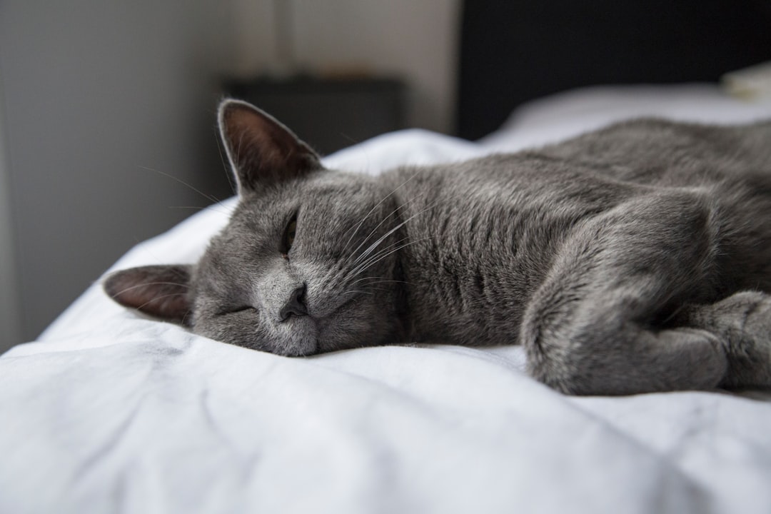 Always Tired? A Mini-Stroke You Didn’t Notice Could Be Why - SciTechDaily